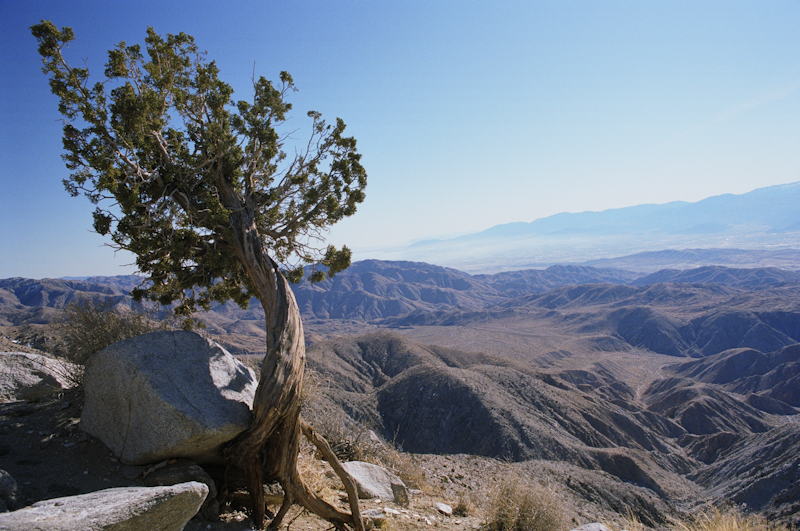 Joshua Tree National Park California, USA
