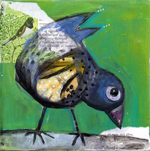 A web little black bird.jpg
