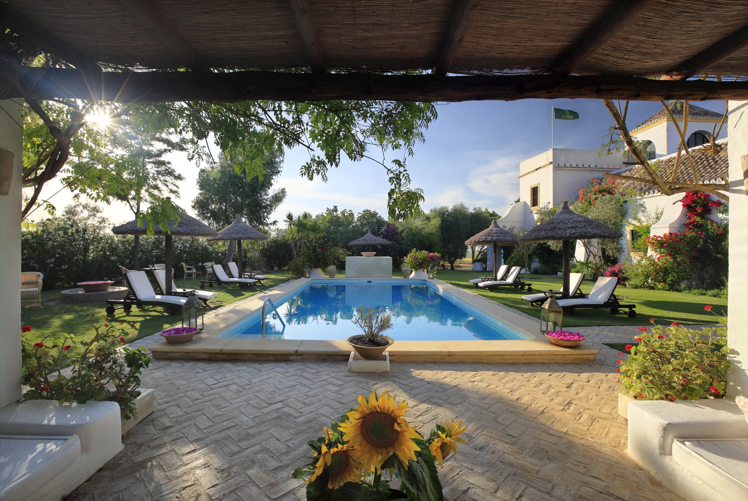 West garden Pool from Sofa zone.jpg