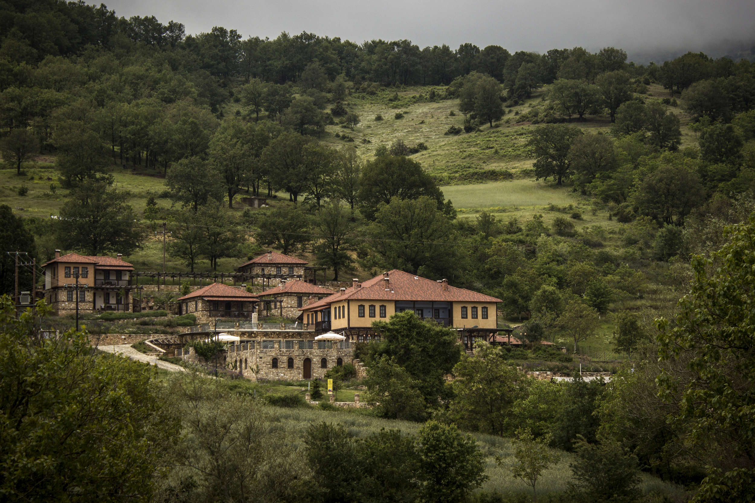 hotel overview.jpg