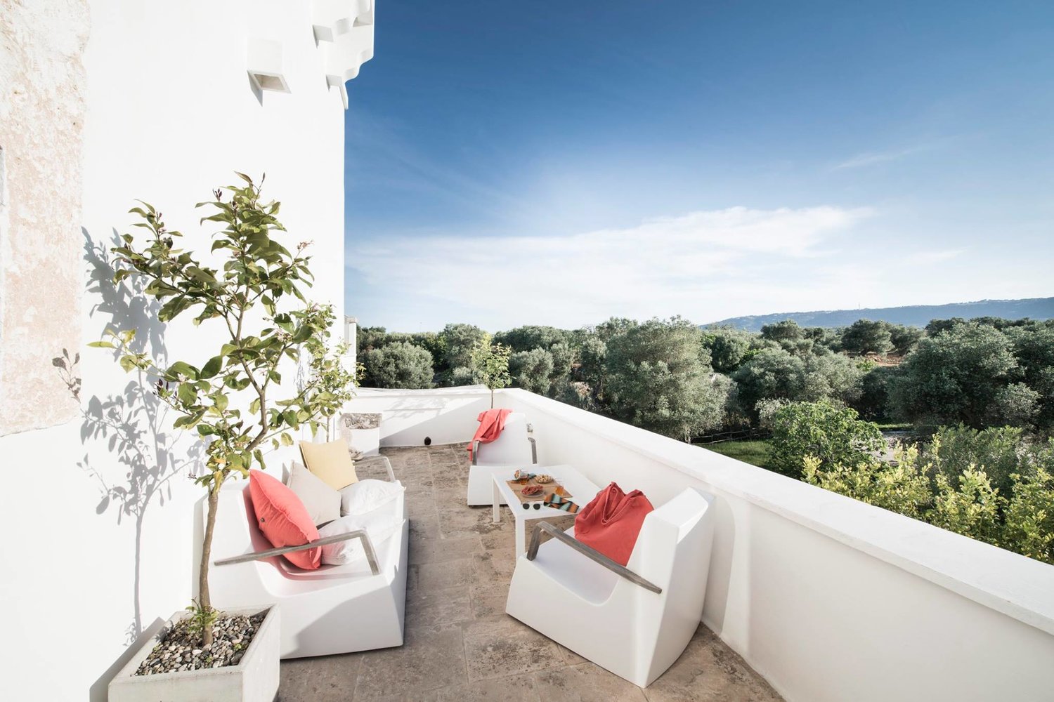 Rooms overlooking the olive trees surrounding the Masseria.