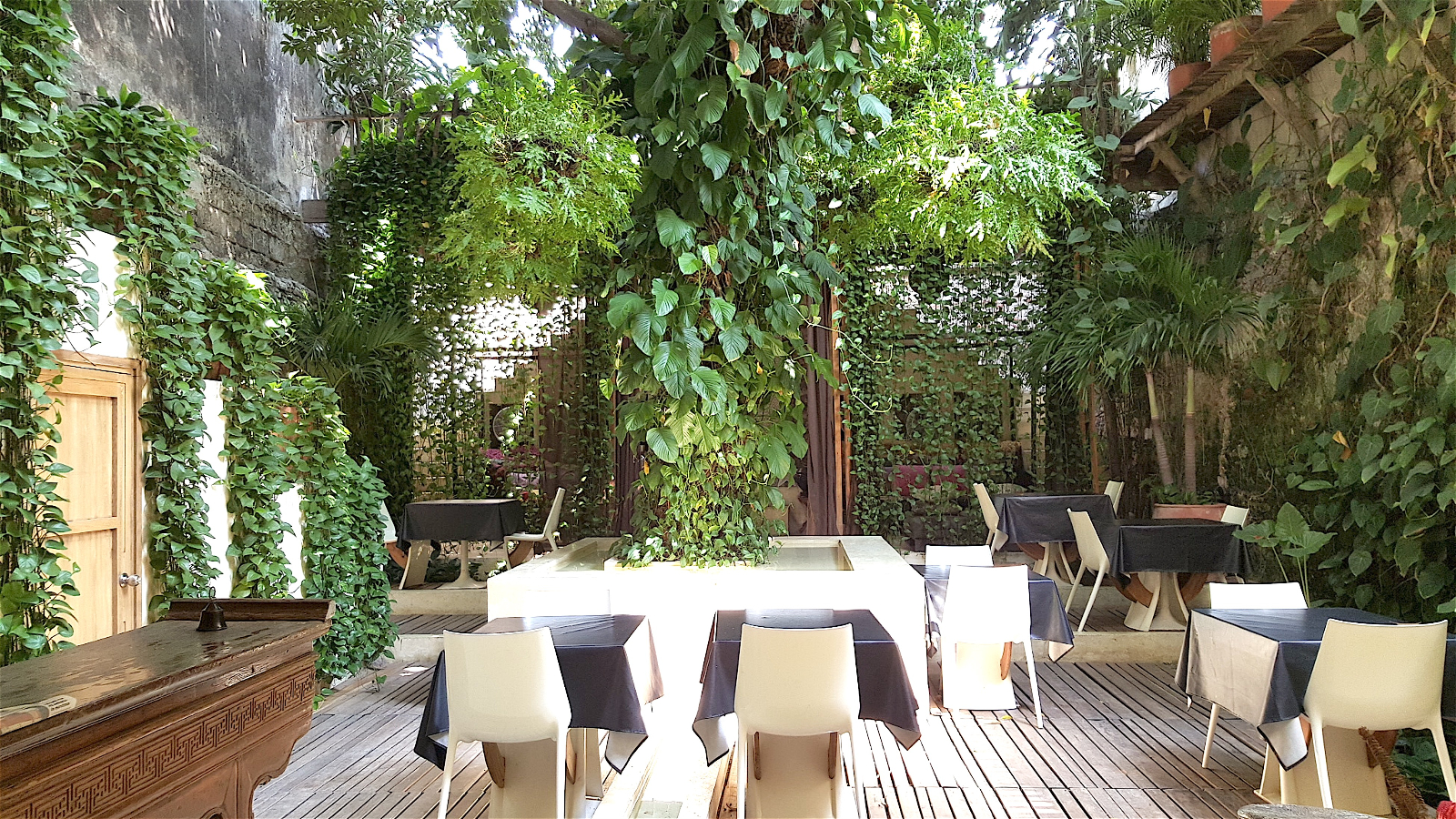 PATIO - copia.jpg