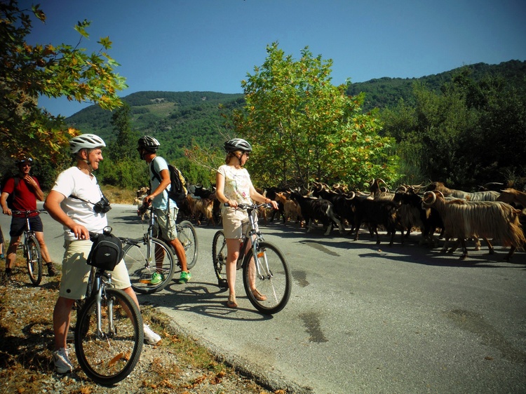 rsz_pelionhomes_biking_tour01.jpg