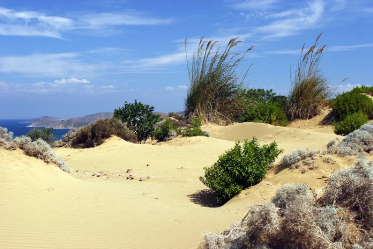 Sand dunes of Lemnos island.jpg