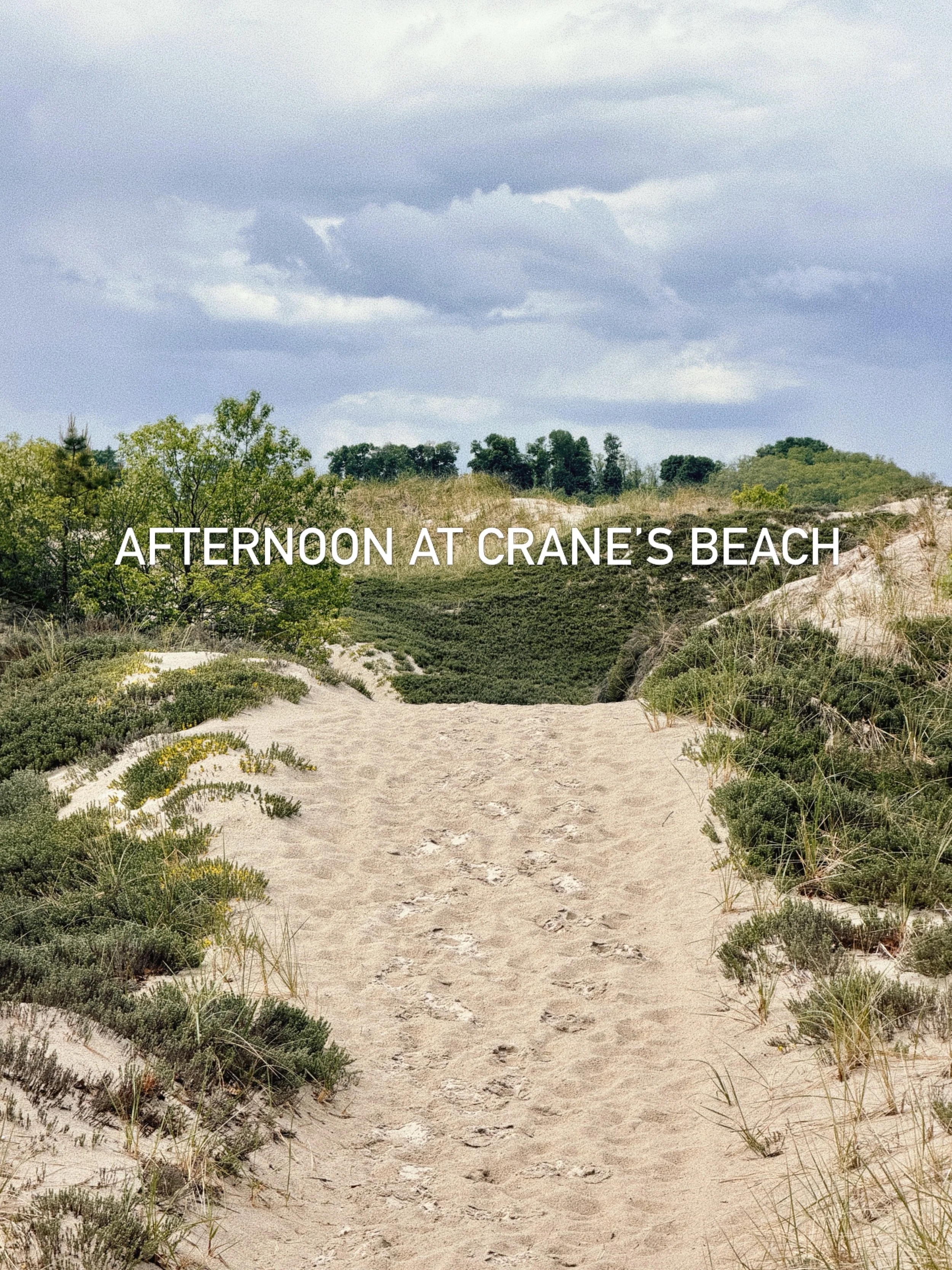 An afternoon at Crane&rsquo;s beach right after one of this week&rsquo;s rainstorms - it reminded me so much of Ireland 🌧️

I hadn&rsquo;t been there since 2009, and didn&rsquo;t know there were hikes through the dunes. Green trail was a perfect sho
