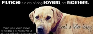 Muncie IN - Be proactive in putting an end to Animal Fighting.