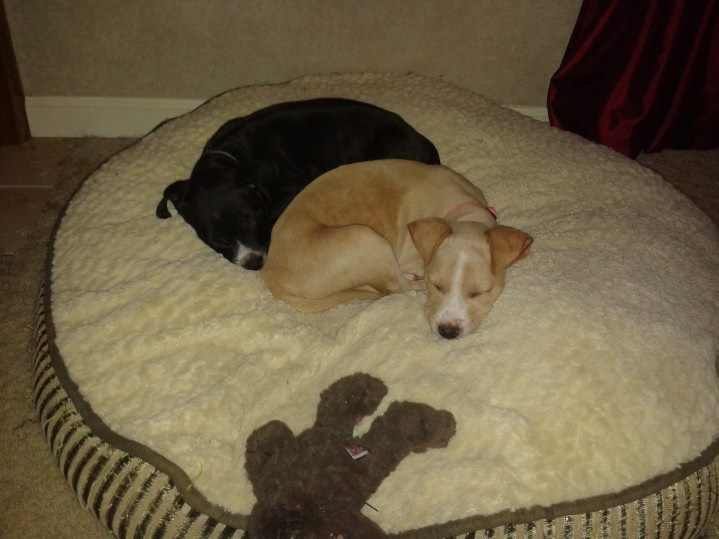 Monroe and his sister