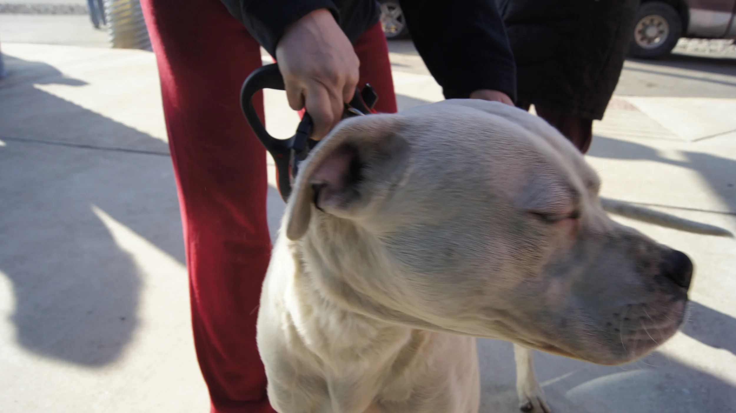 PFL clinic  (24).JPG