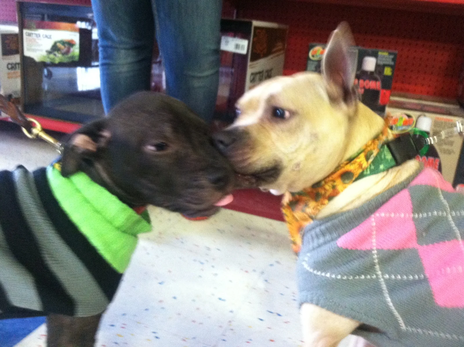 Rex and Tilde best friends.jpeg