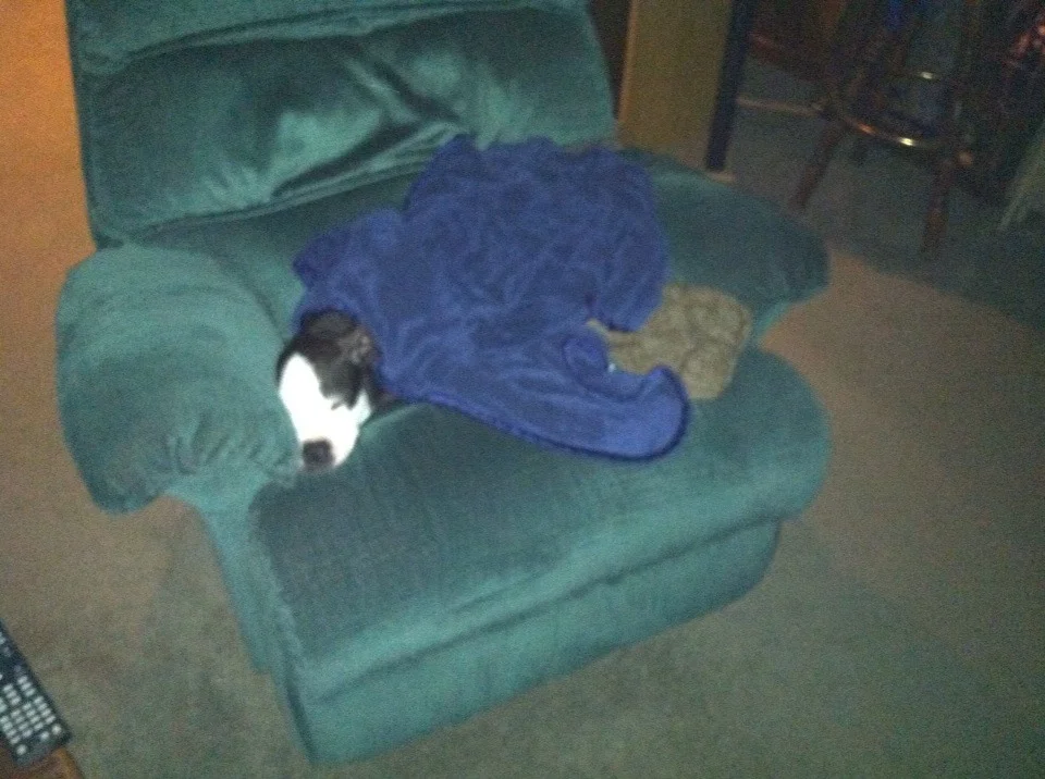 Webster post surgery
