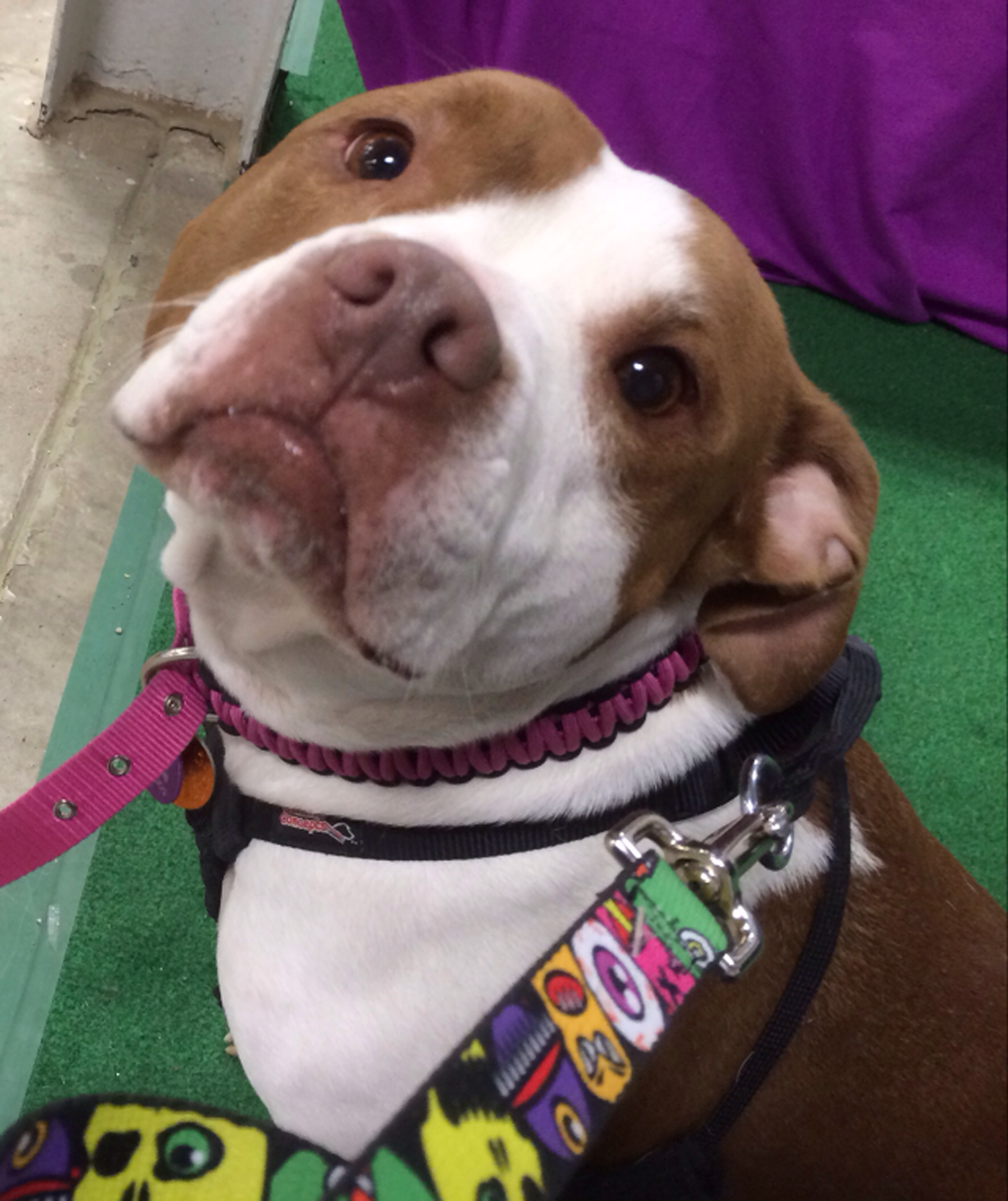 Here's looking at you!