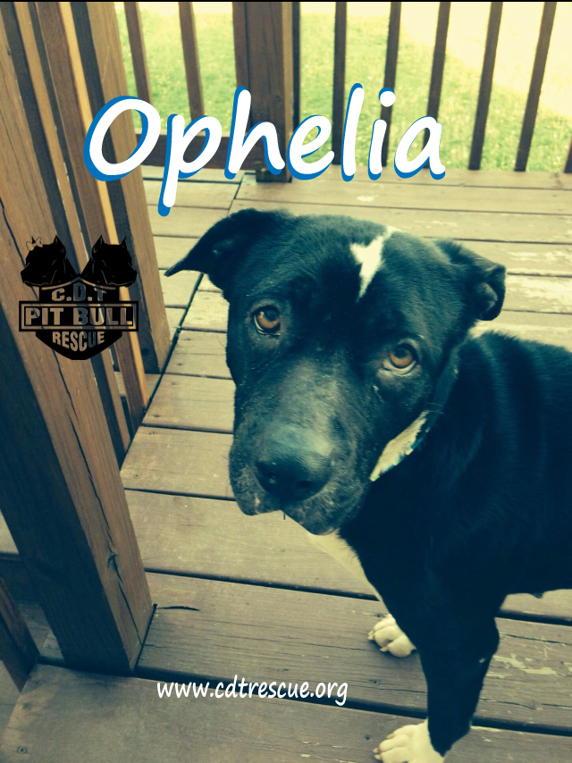 050914 Ophelia.jpg