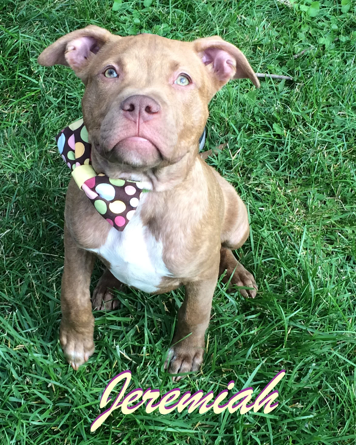 Jeremiah