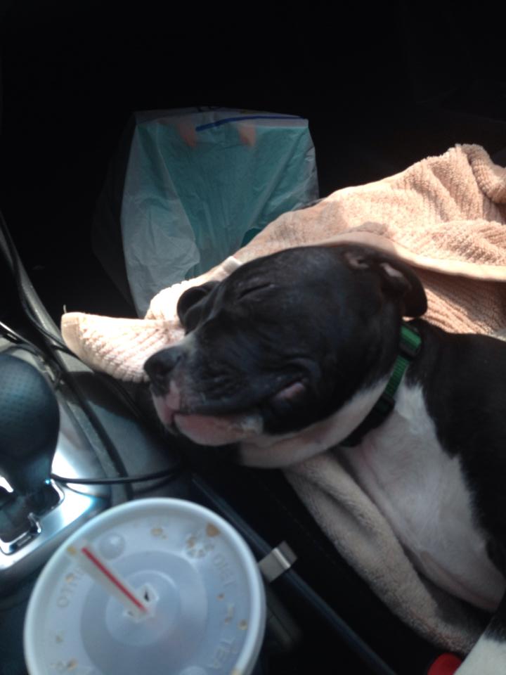 Early morning car ride
