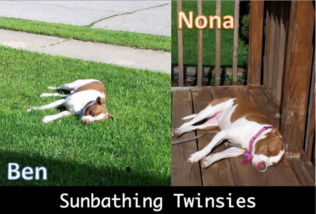 Sunbathing Twinsies