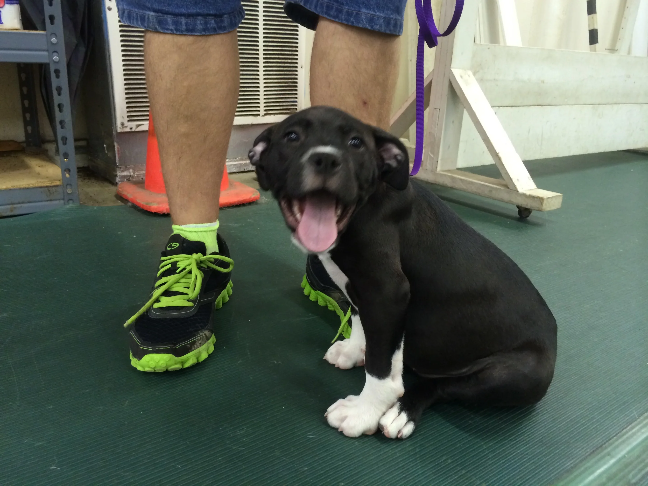  And she's checking it all out 