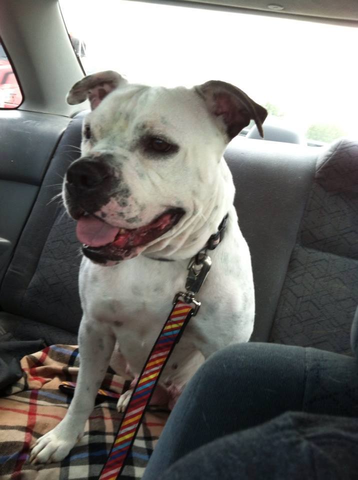 Freedom ride