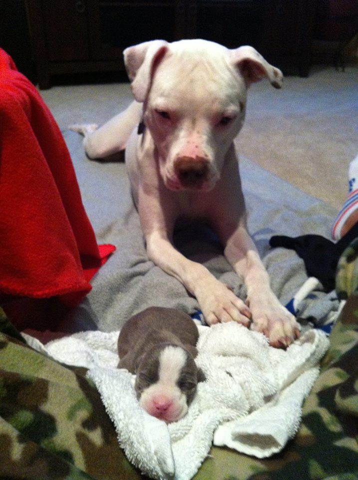 0817 Venus and Josie.jpg