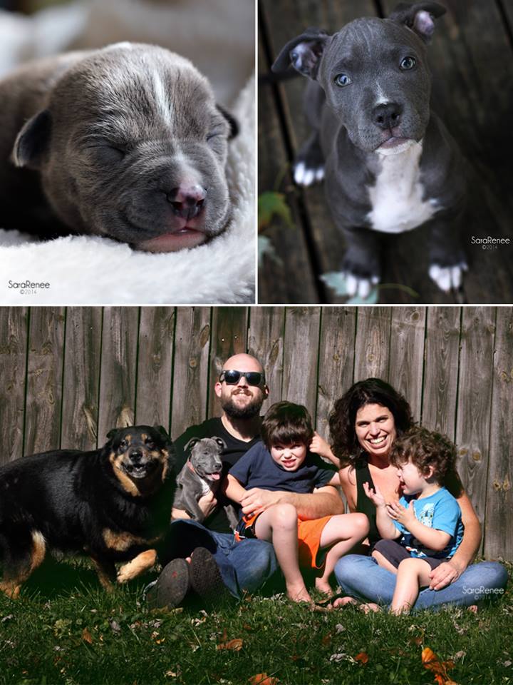 Suki forever home.jpg