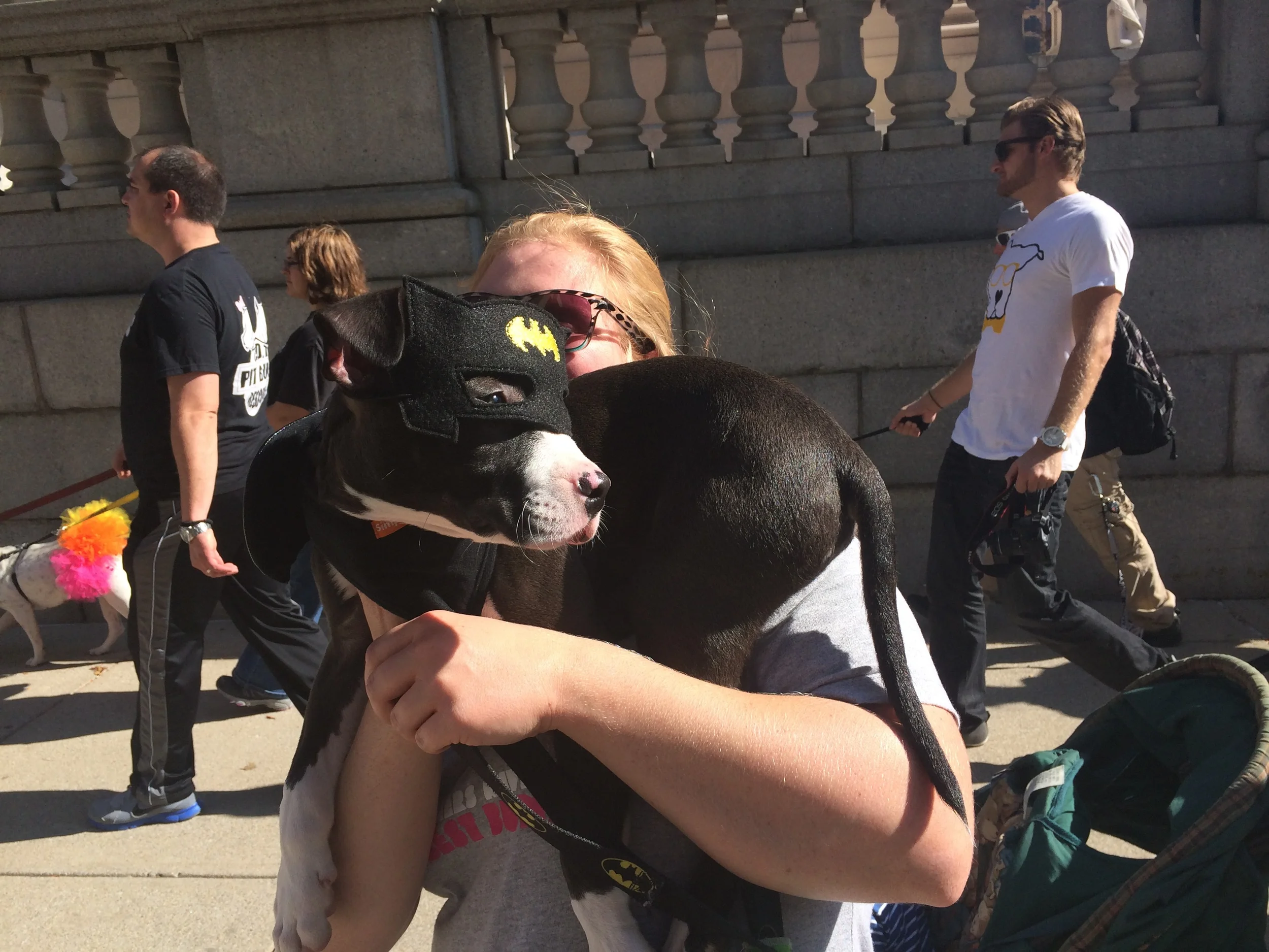 Bat Dog Shelly