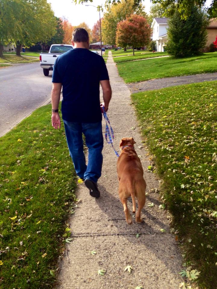 Dory's first walk