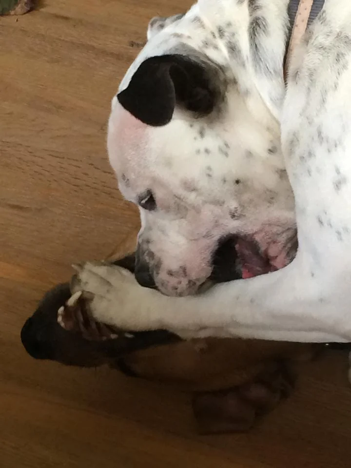 Toy Time