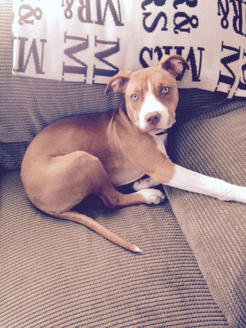 Aggie's growing up