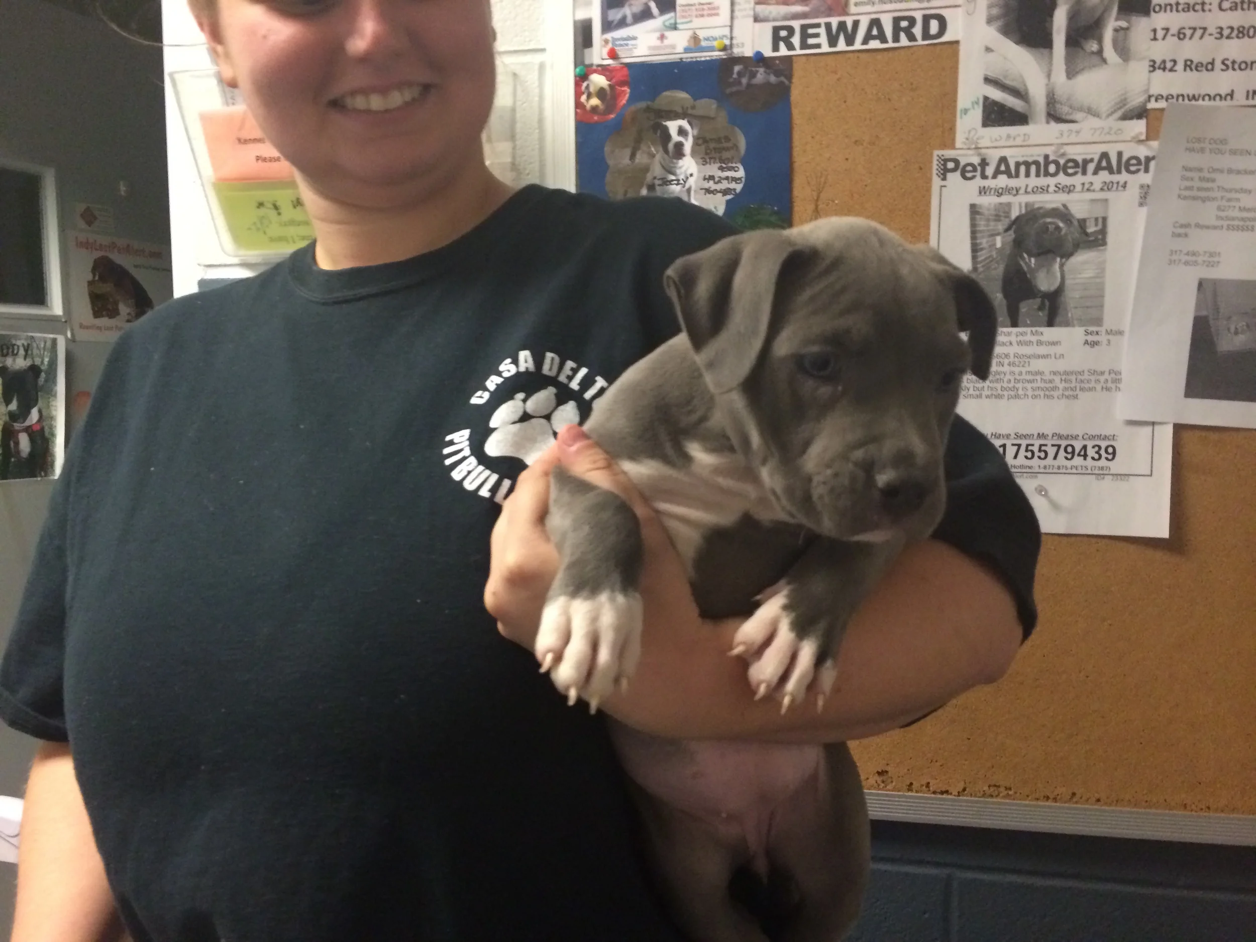 Luckly little Sarabi