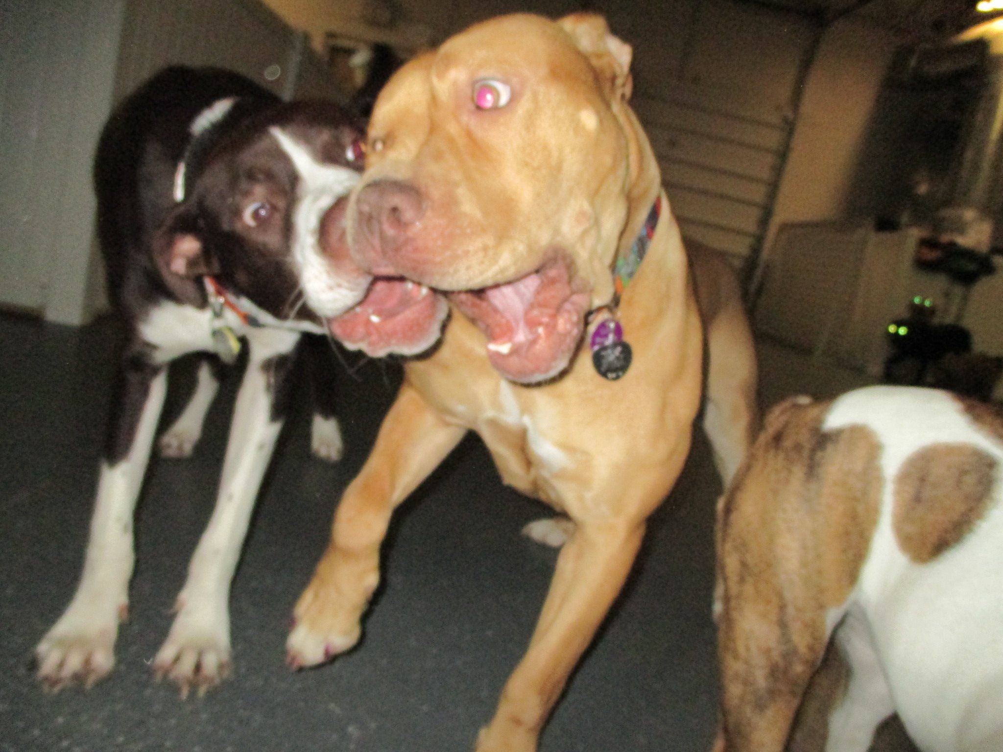 Goofing off with my buddies!