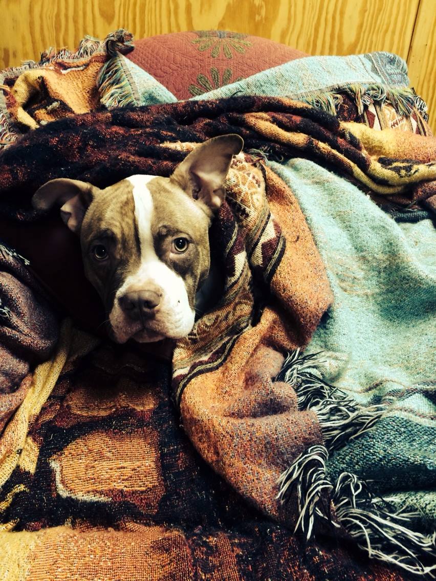 All bundled up