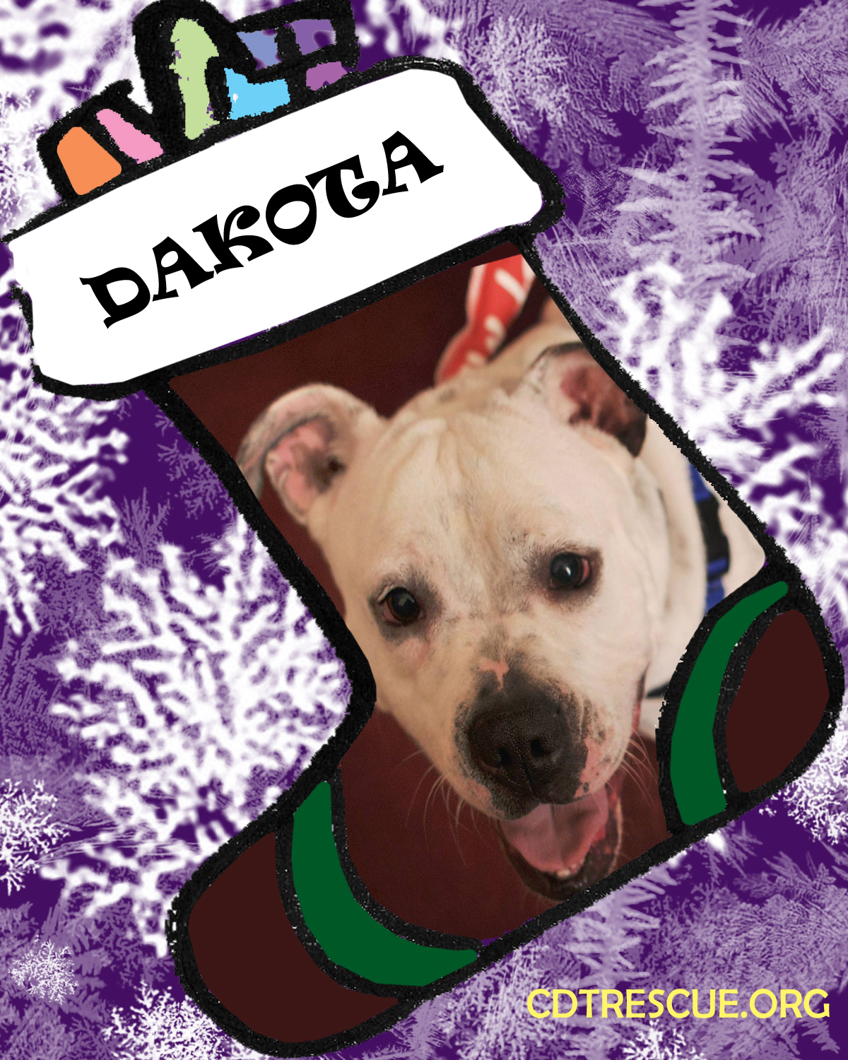 holiday card template Dakota.jpg