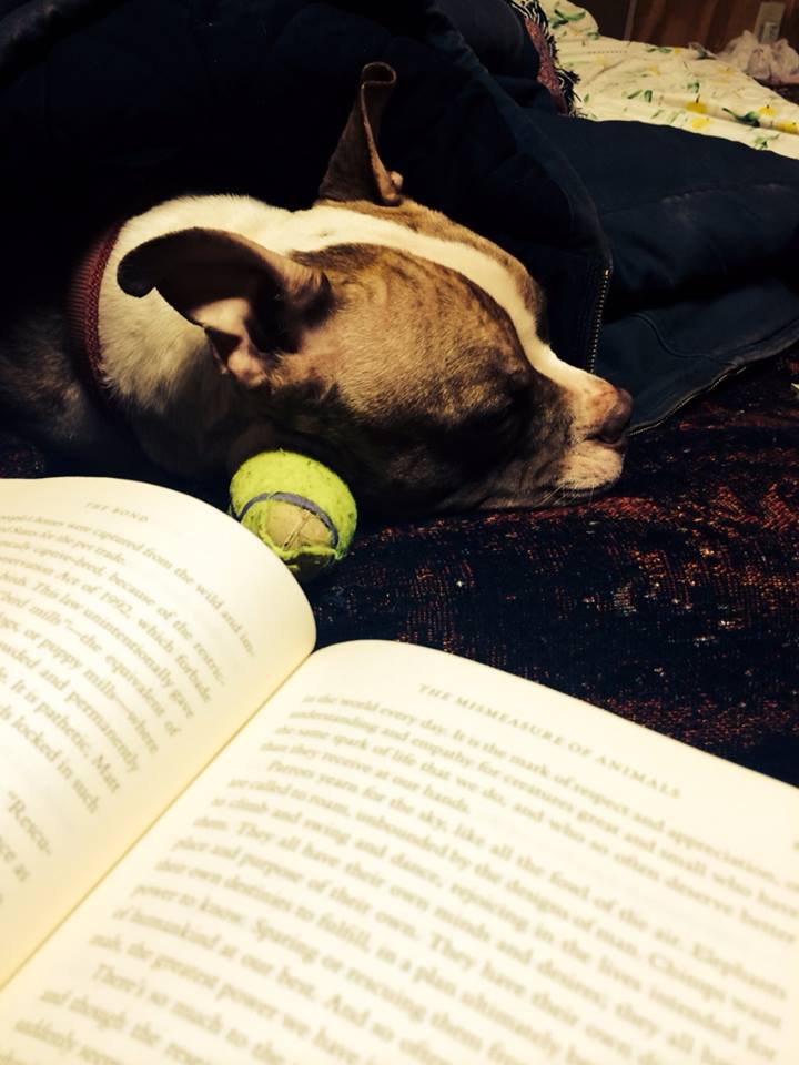 Who doesn't love a good book?