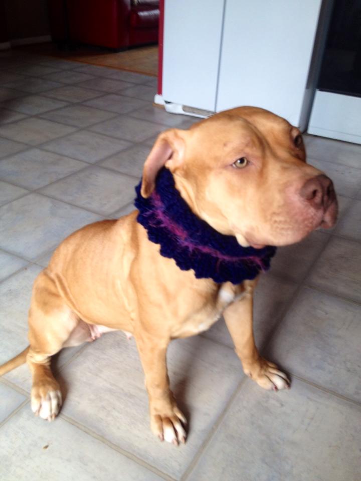 Dory wearing her muffler