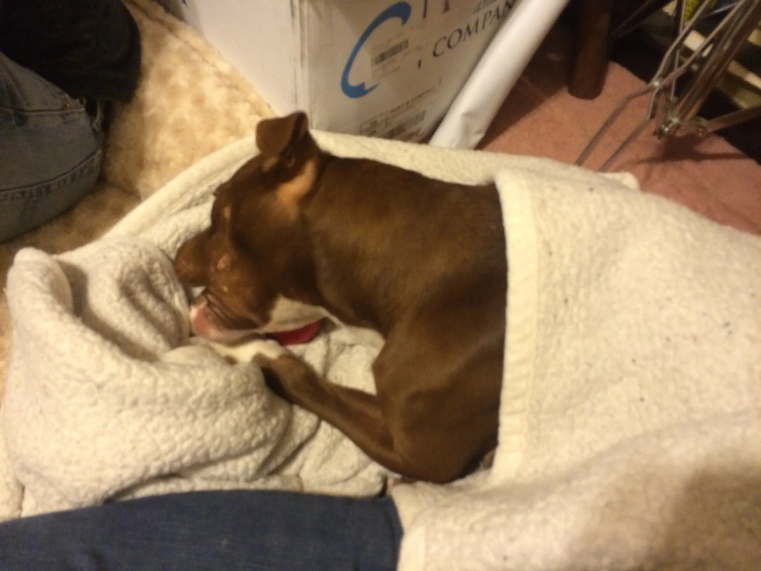 It's cold. Let's snuggle down.