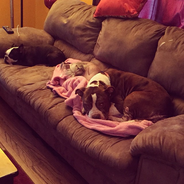 122214 couch w foster bro.jpg