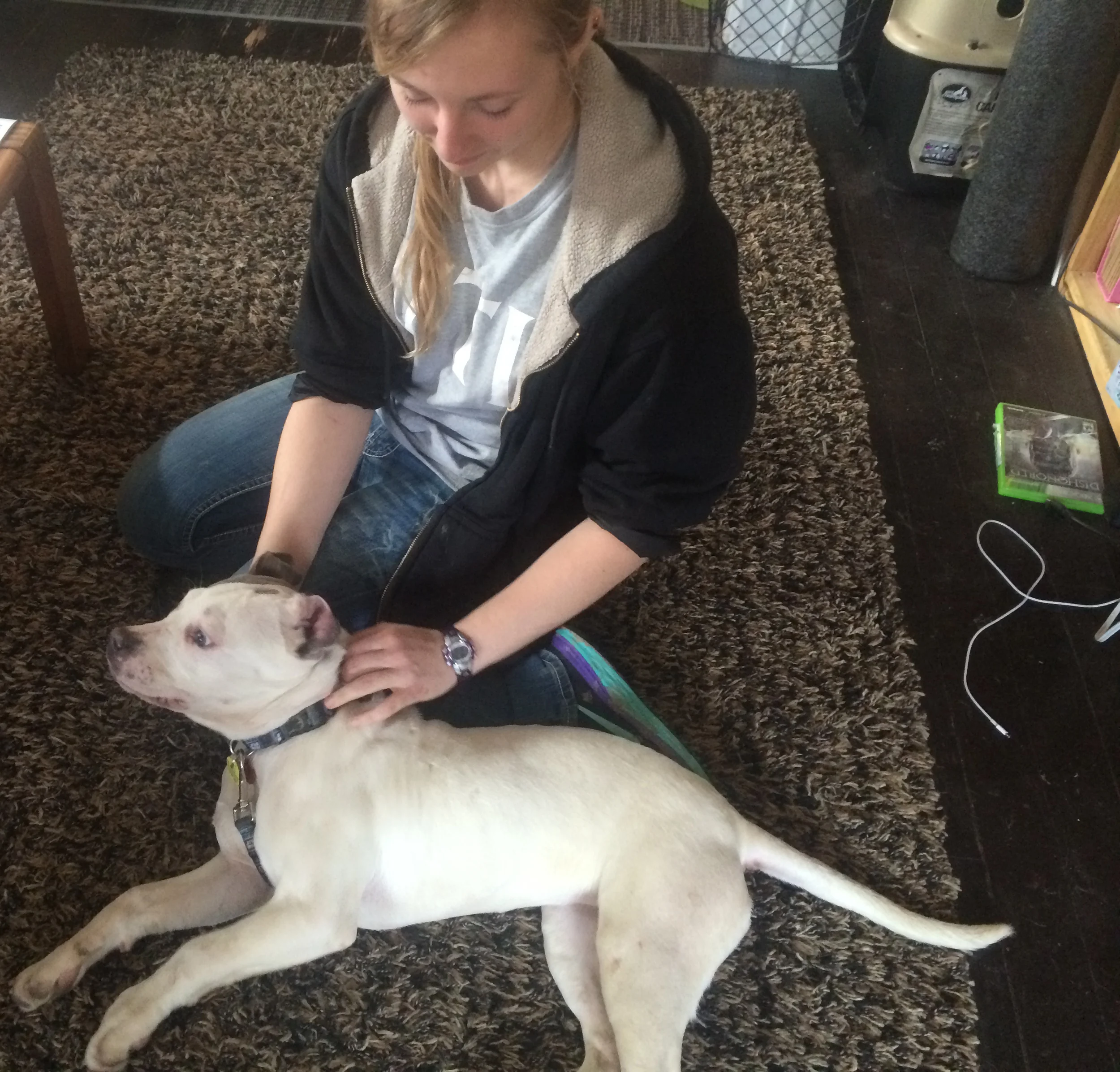 Aoife_foster home 2 020815.jpg