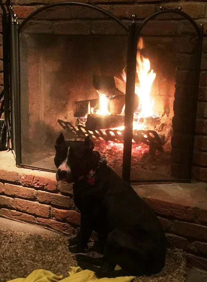 Quinn knows how to stay warm