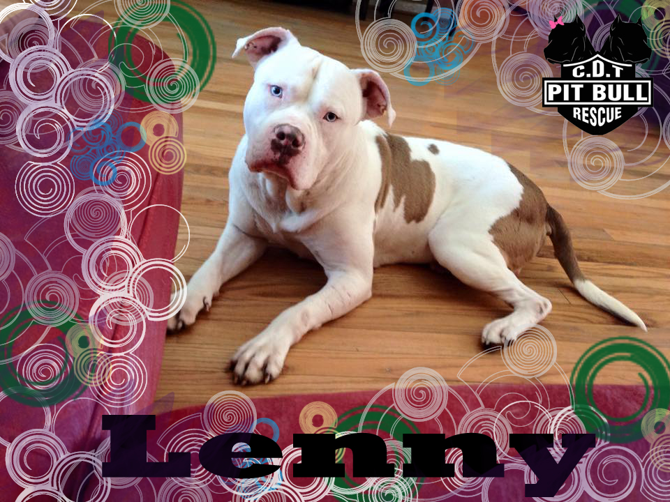 Lenny update 021115.jpg