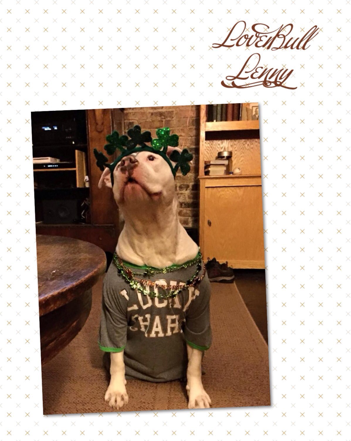 LoverBull Lenny.jpg