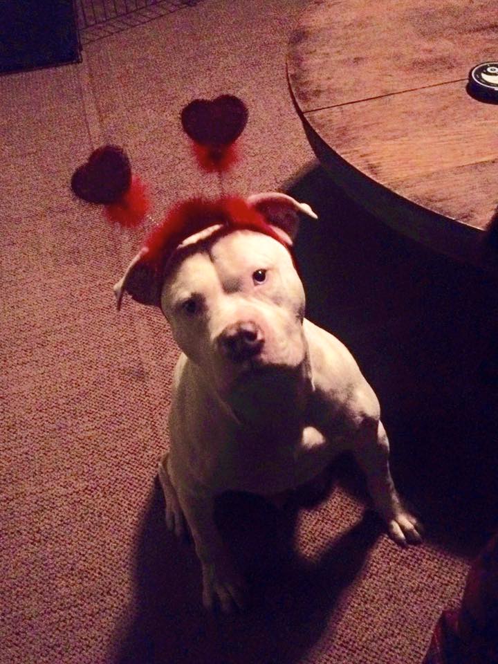 Be my valentine
