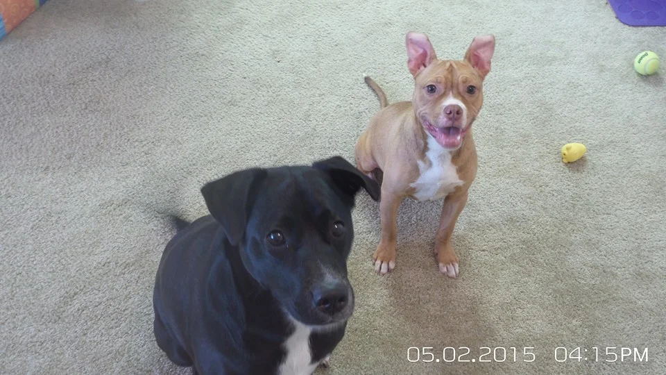 Gronk (Formerly known as Gabe) and his big sister Lola