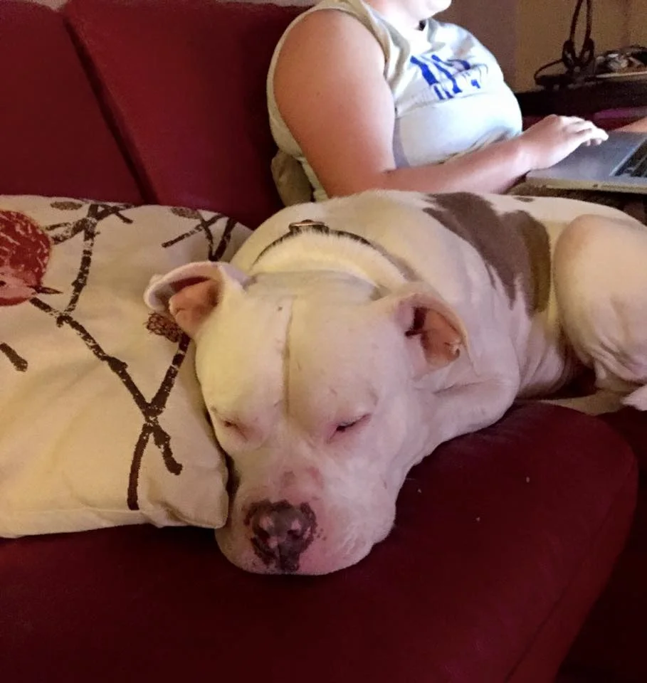 Surfing the web is tiring 050615.JPG