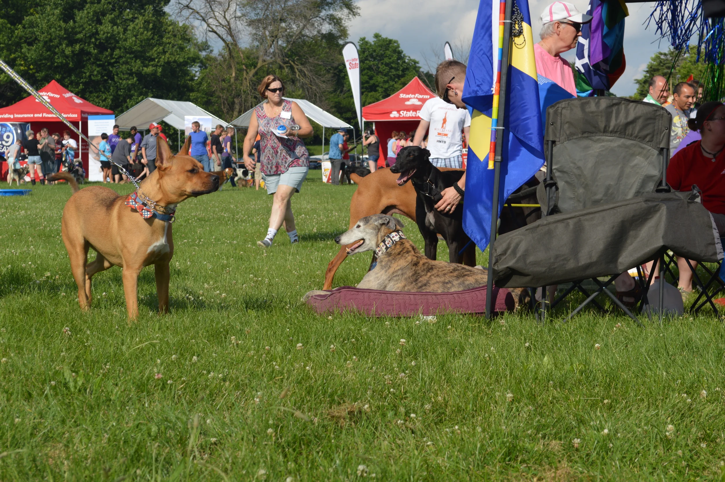 DSC_0129.JPG