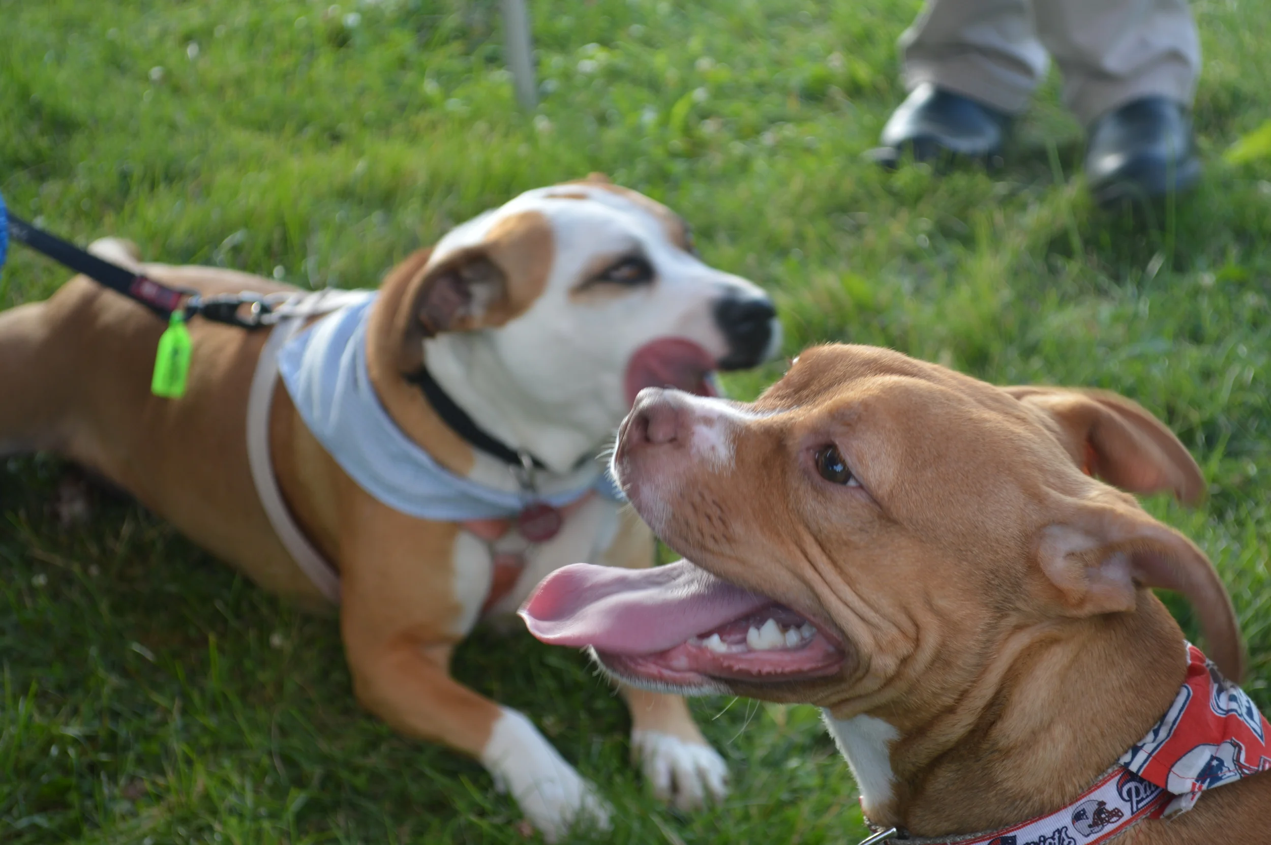 DSC_0315.JPG