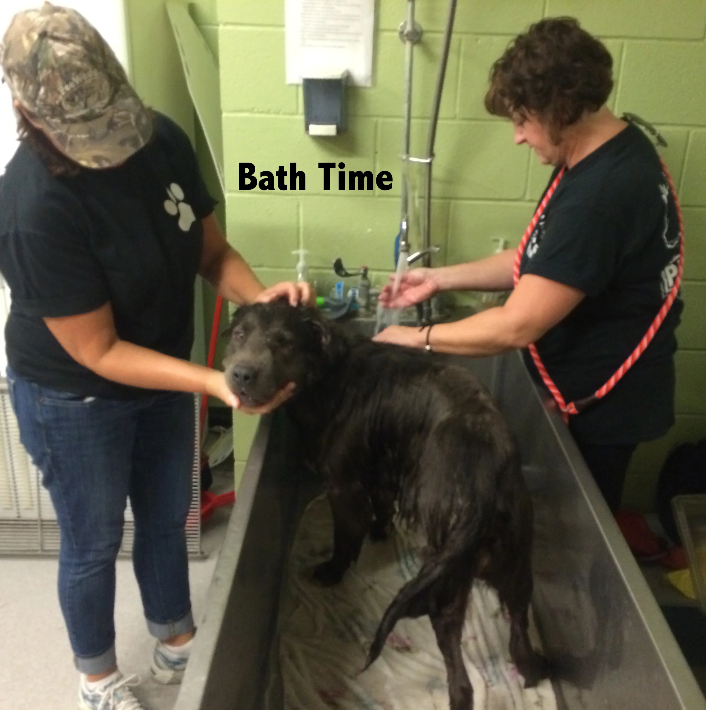 Bath time for Fozzi.jpg