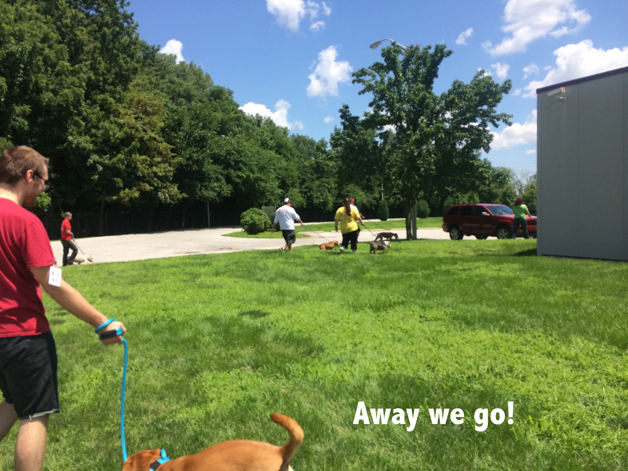 Shelter pack walk 2.jpg