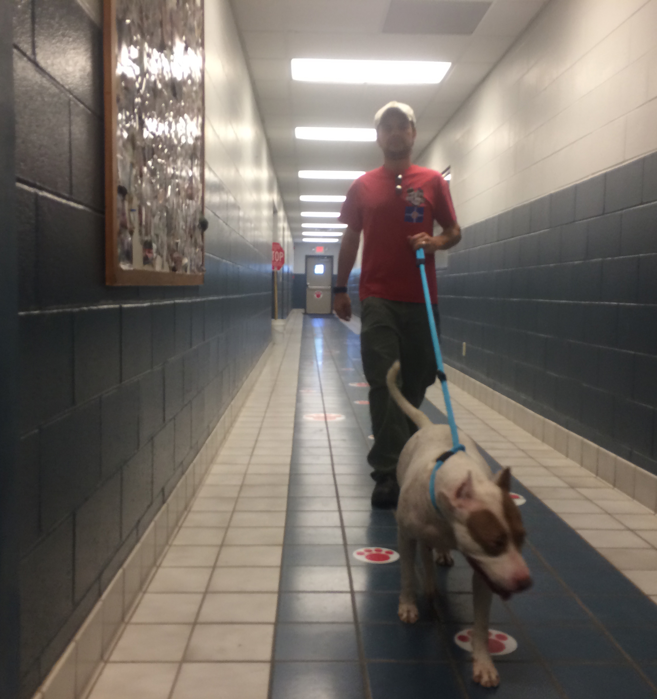 Walking Tina.jpg