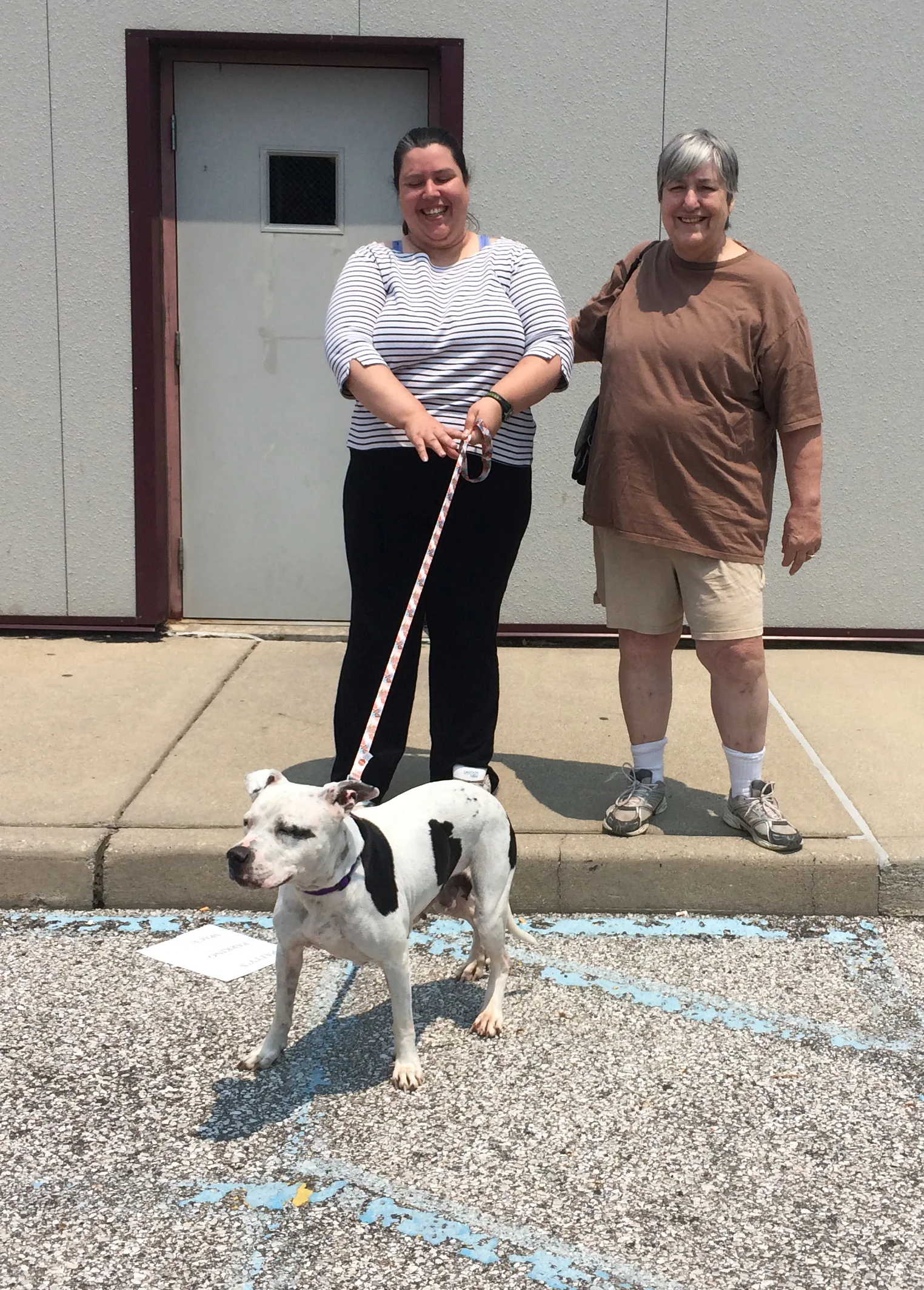 Heading to the foster home