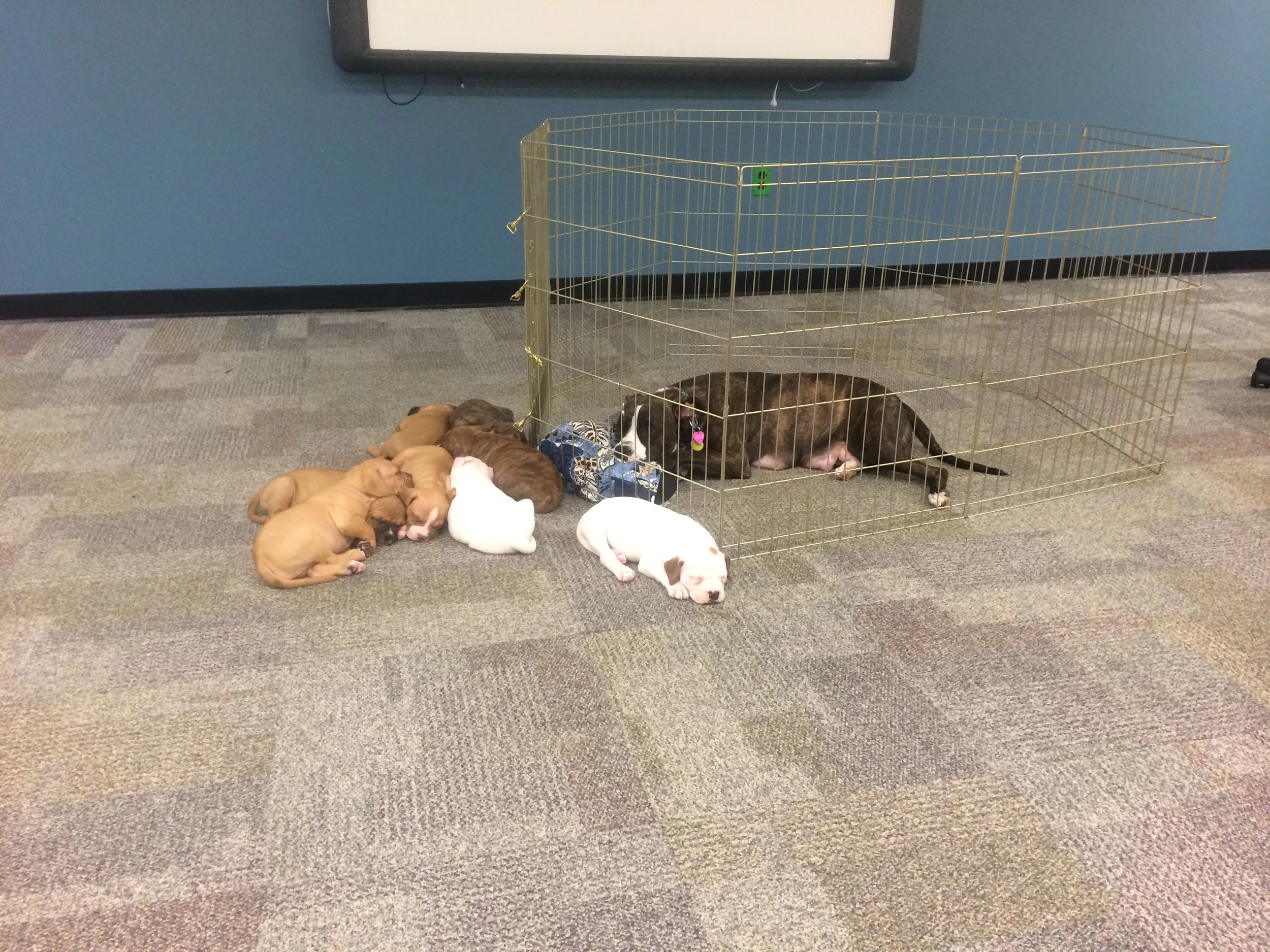 Socialization's all done