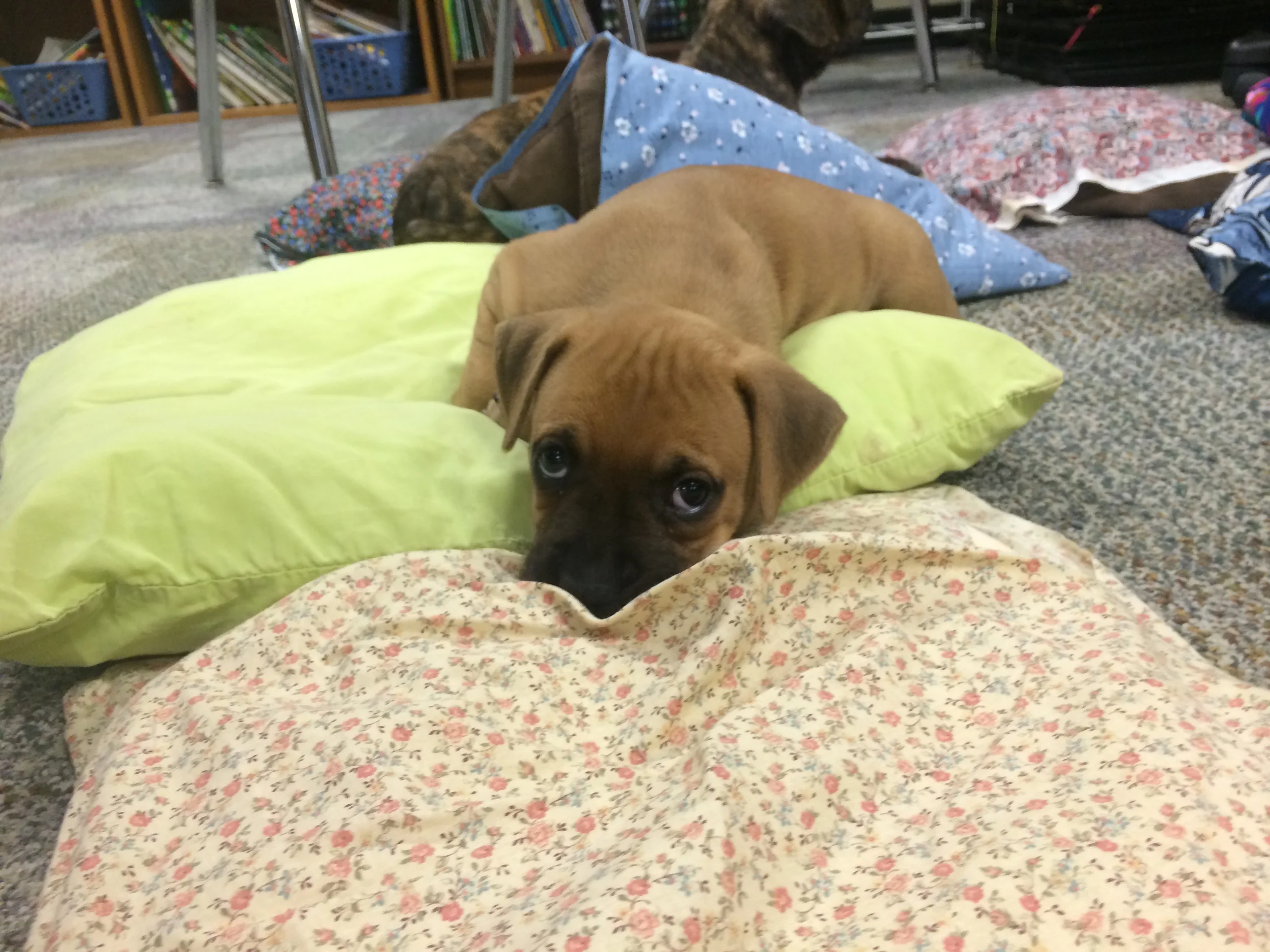 Here's looking at you